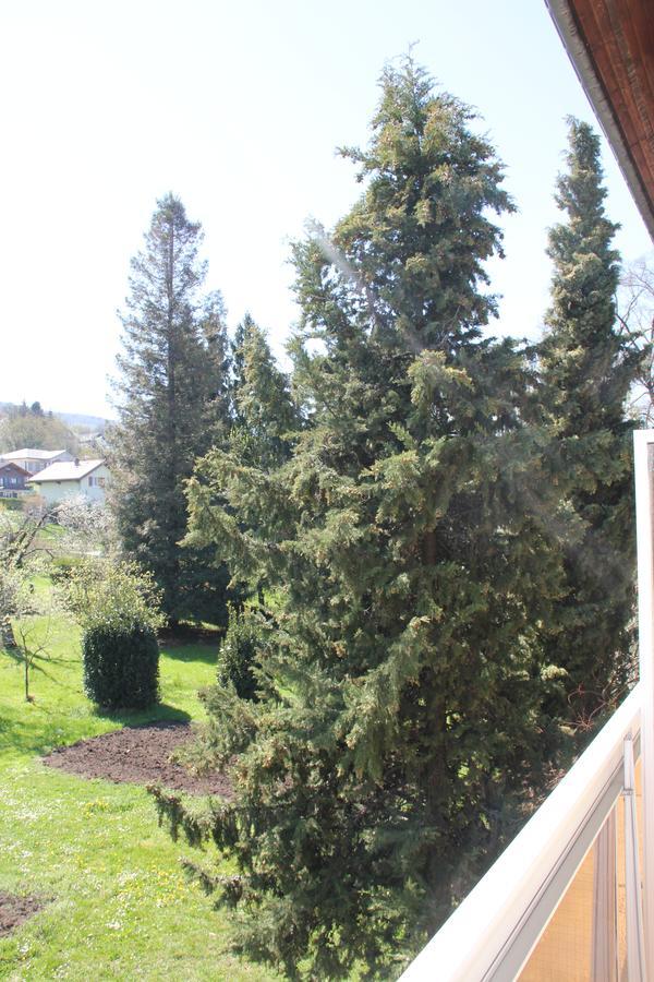 Hotel Restaurant Le Panorama Neuvecelle Kültér fotó